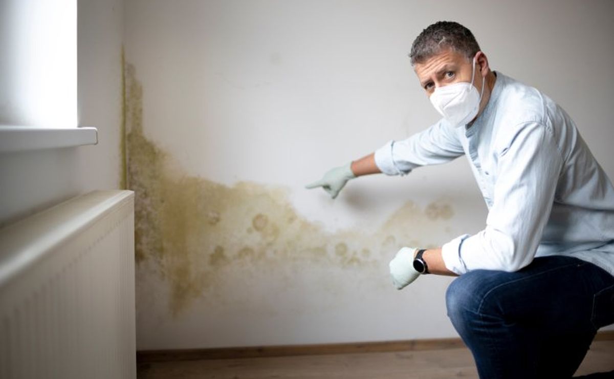 La humedad por filtración puede deberse a las lluvias o a la cañería. Aquí te dejamos algunos trucos caseros para eliminarla de la pared
