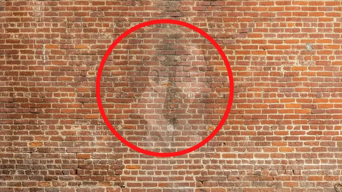 Test de QI d'illusion d'optique : Qu'est-ce qui est caché dans ce mur ?