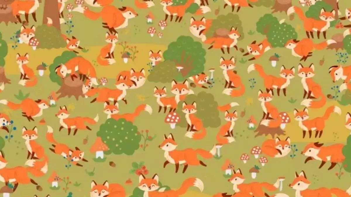Renard aux yeux bleus