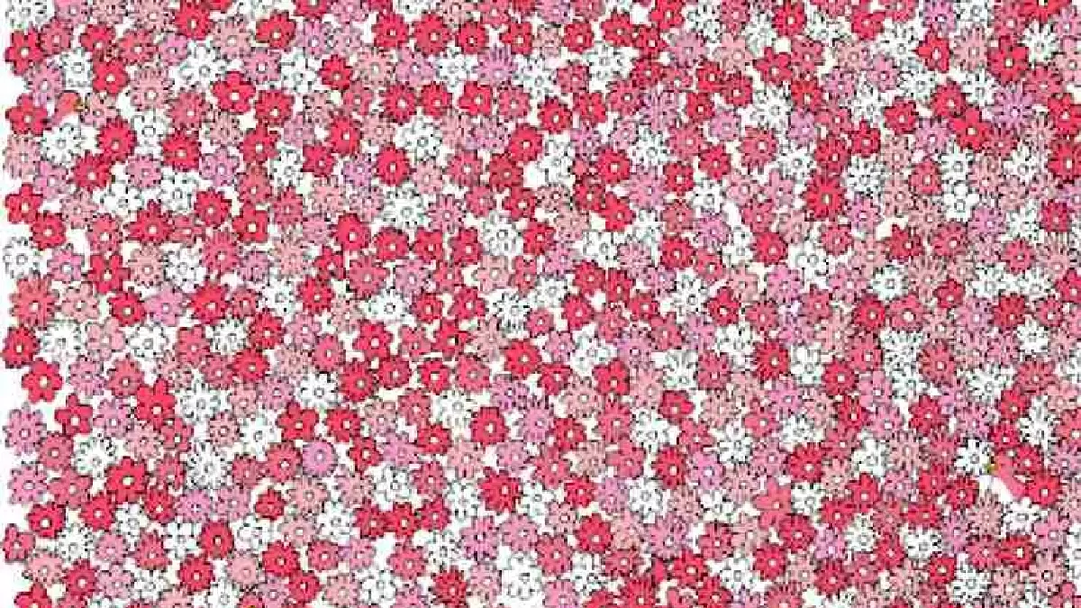 Pouvez-vous trouver le canard parmi les fleurs en 10 secondes ?