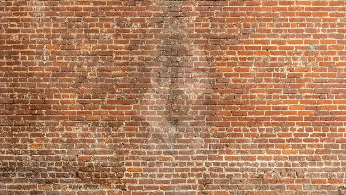 Test de QI sur les illusions d'optique : Qu'est-ce qui est caché dans ce mur ?
