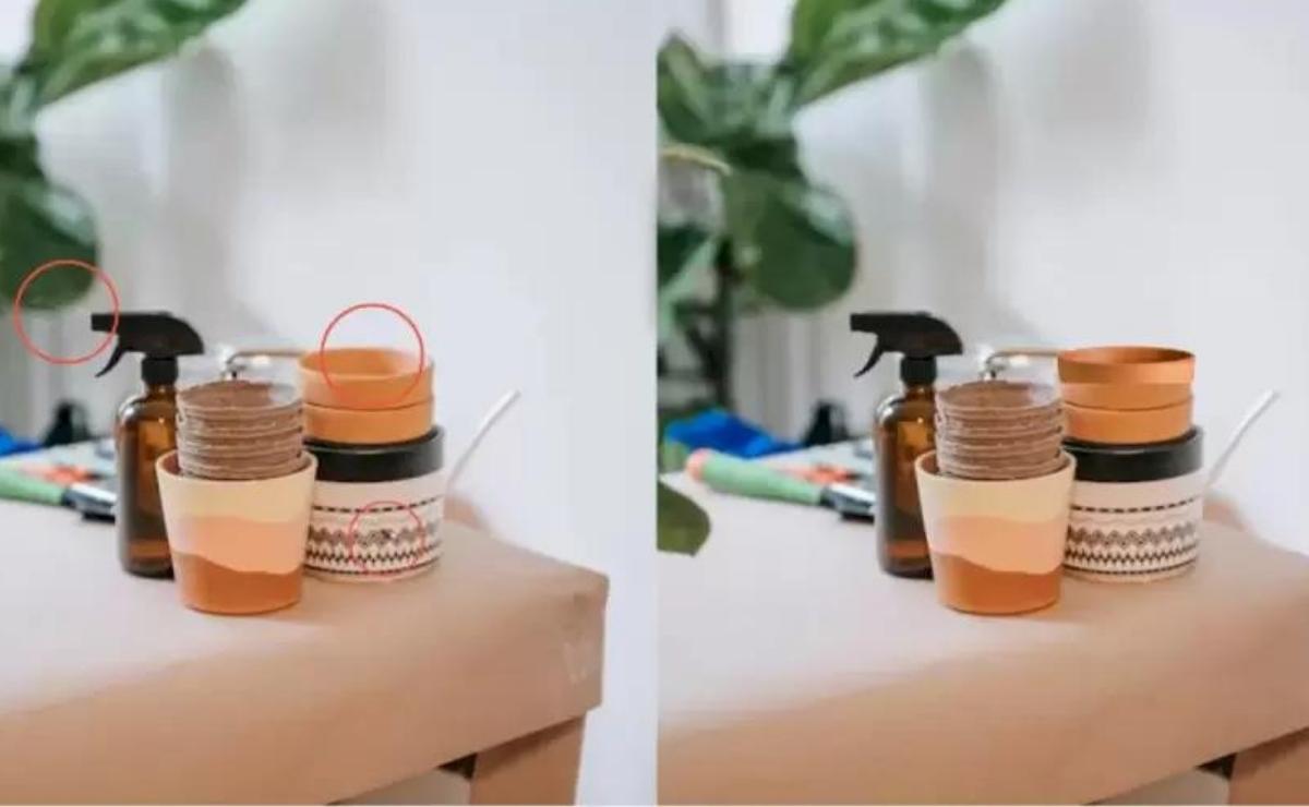 Nous vous montrons ici l'emplacement de chacune des différences dans le puzzle visuel.