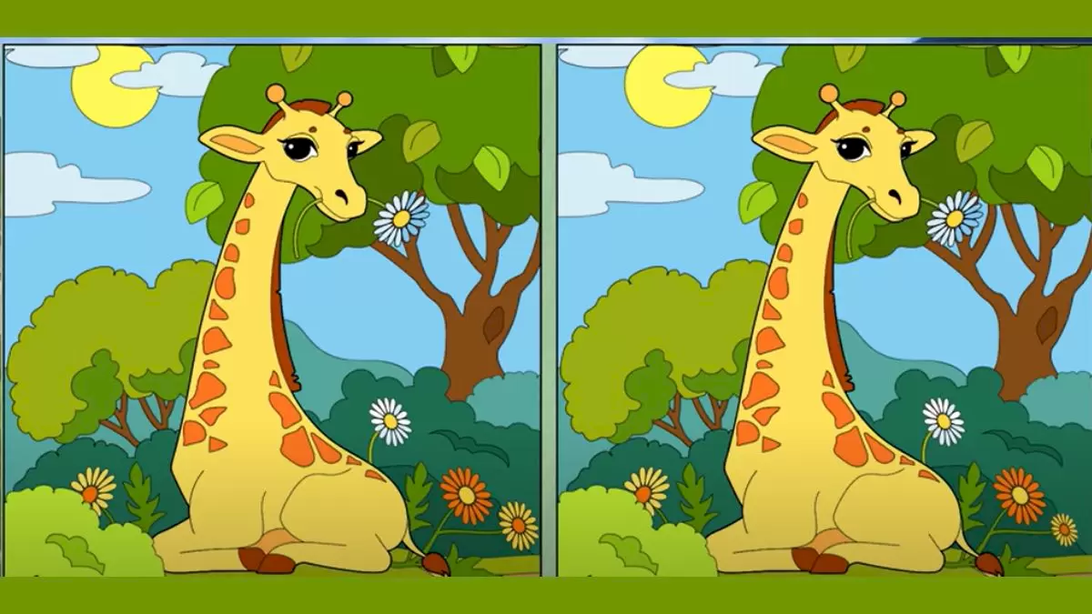Illusion d'optique : trouvez la différence : Pouvez-vous trouver la différence entre ces deux images ?