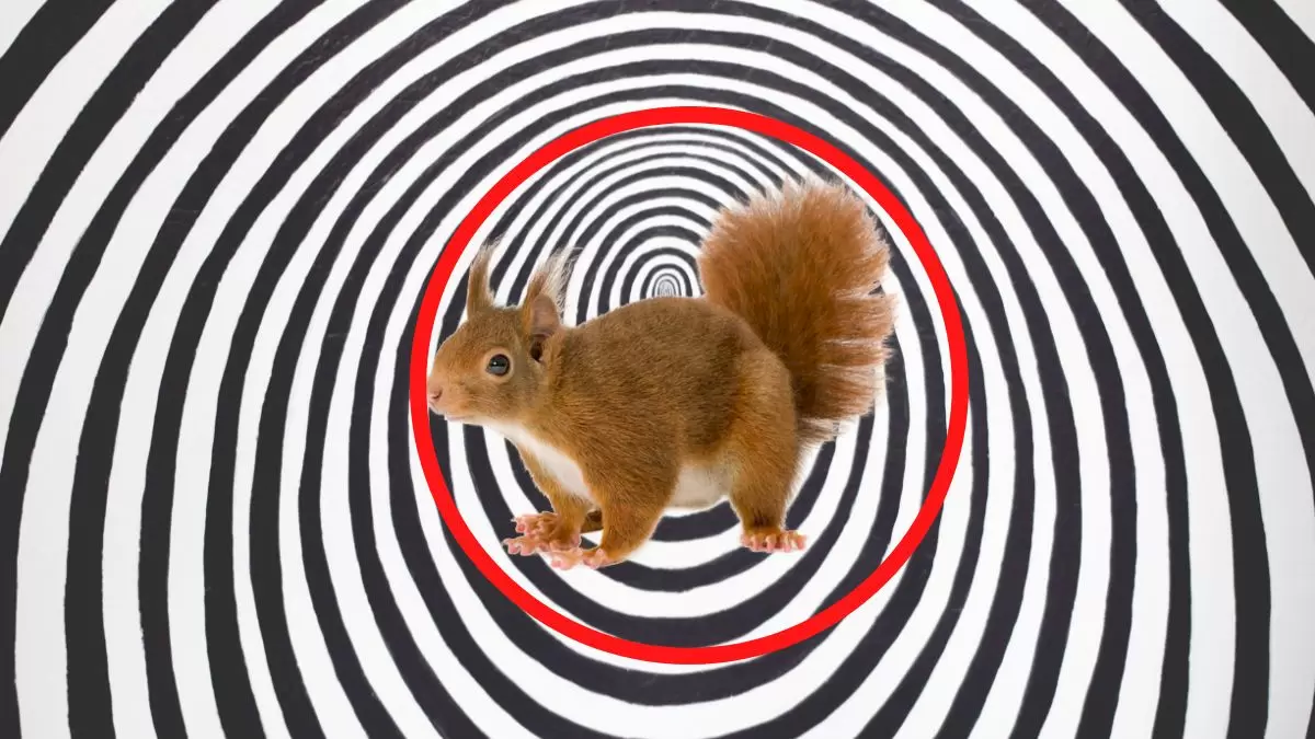 Pouvez-vous trouver l'animal caché en 8 secondes ?
