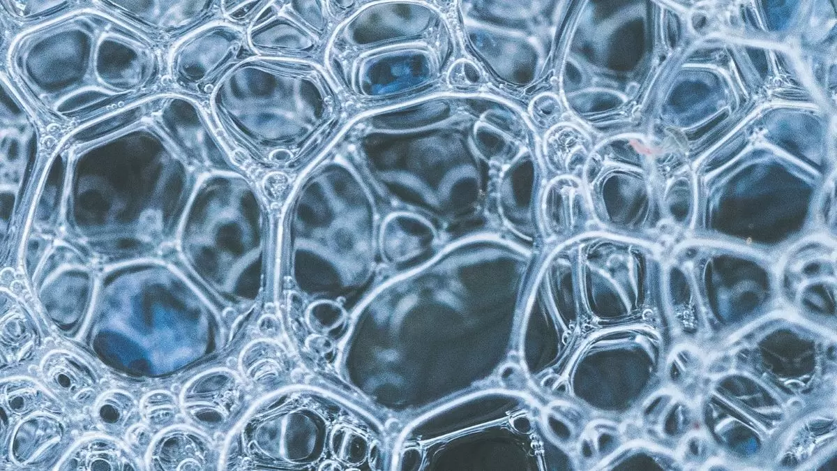Illusion d'optique : Pouvez-vous trouver le poisson en gelée caché en 10 secondes ?