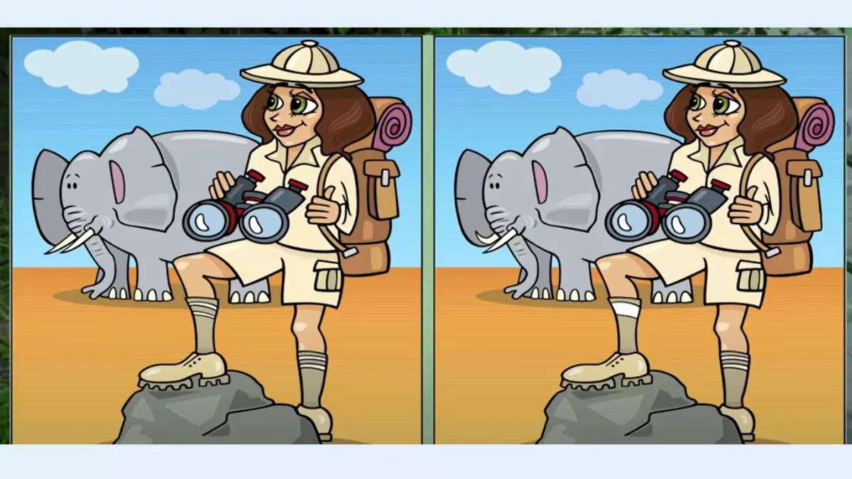Illusion d'optique : trouvez la différence : Pouvez-vous trouver la différence entre ces deux images ?