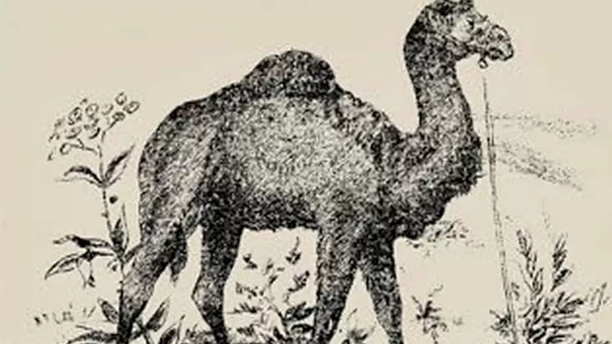 Pouvez-vous repérer l'homme caché dans cette image en 10 secondes ?