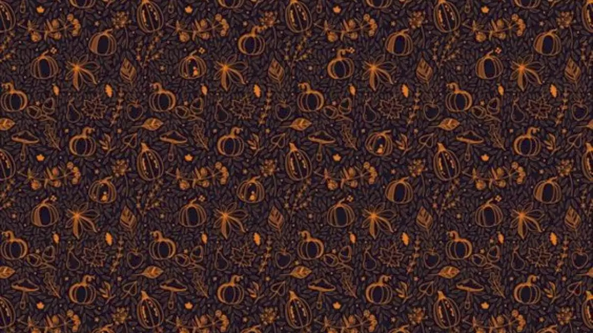 Jack O Lantern