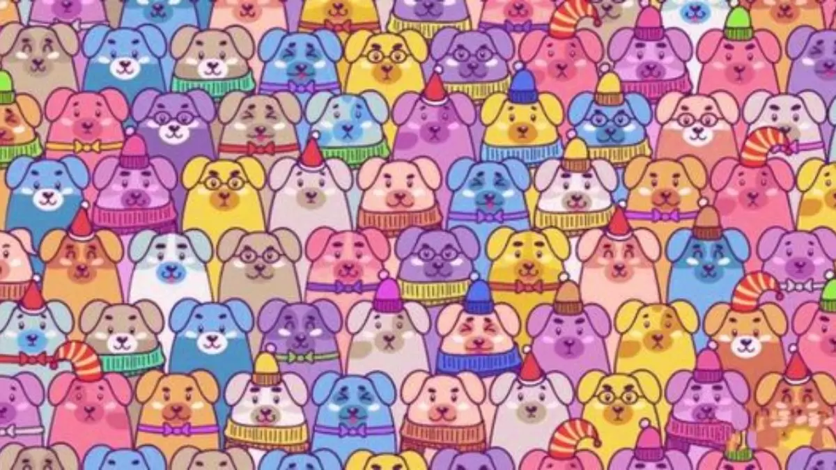 Test d'illusion d'optique : Parmi ces chiens, pouvez-vous repérer le cochon en moins de 18 secondes ?