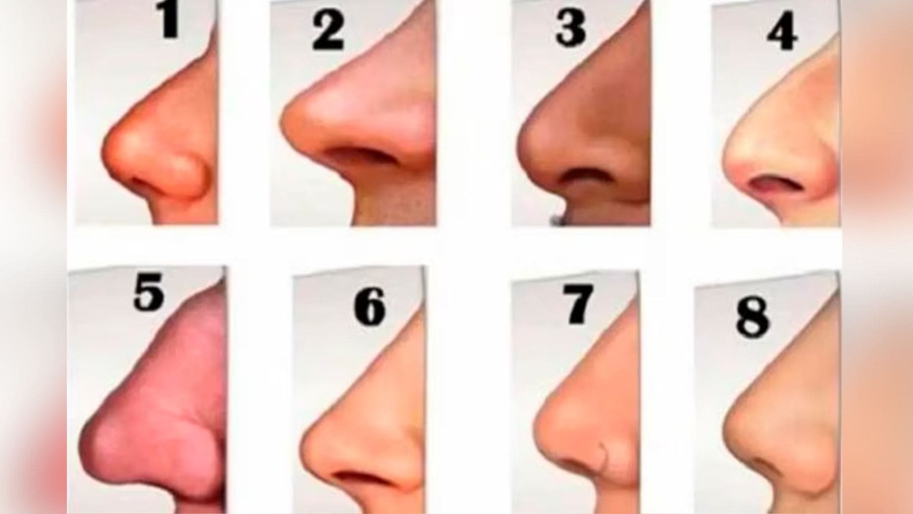 Test de personalidad: ¿Qué tipo de nariz tienes?